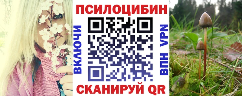 Галлюциногенные грибы Psilocybine cubensis  OMG ссылки  Малая Вишера 